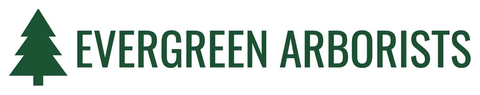 Evergreen Arbor tree service company logo
