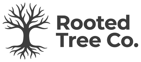 rooted tree